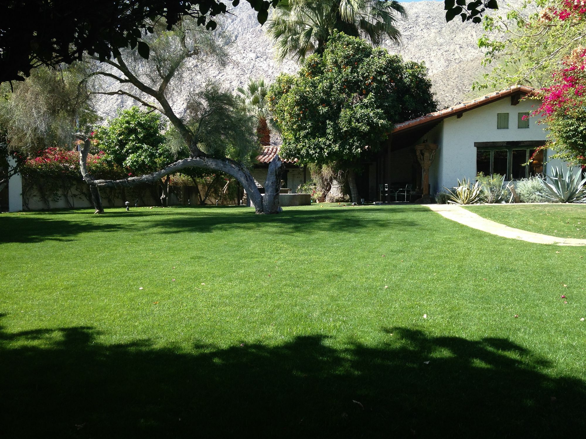 Hotel Casa Cody Palm Springs Esterno foto